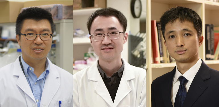 香港大學三位傑出學者獲裘槎基金會頒授裘槎科研獎項。（左起）岑浩璋教授、王宇鋒博士和姚望教授。